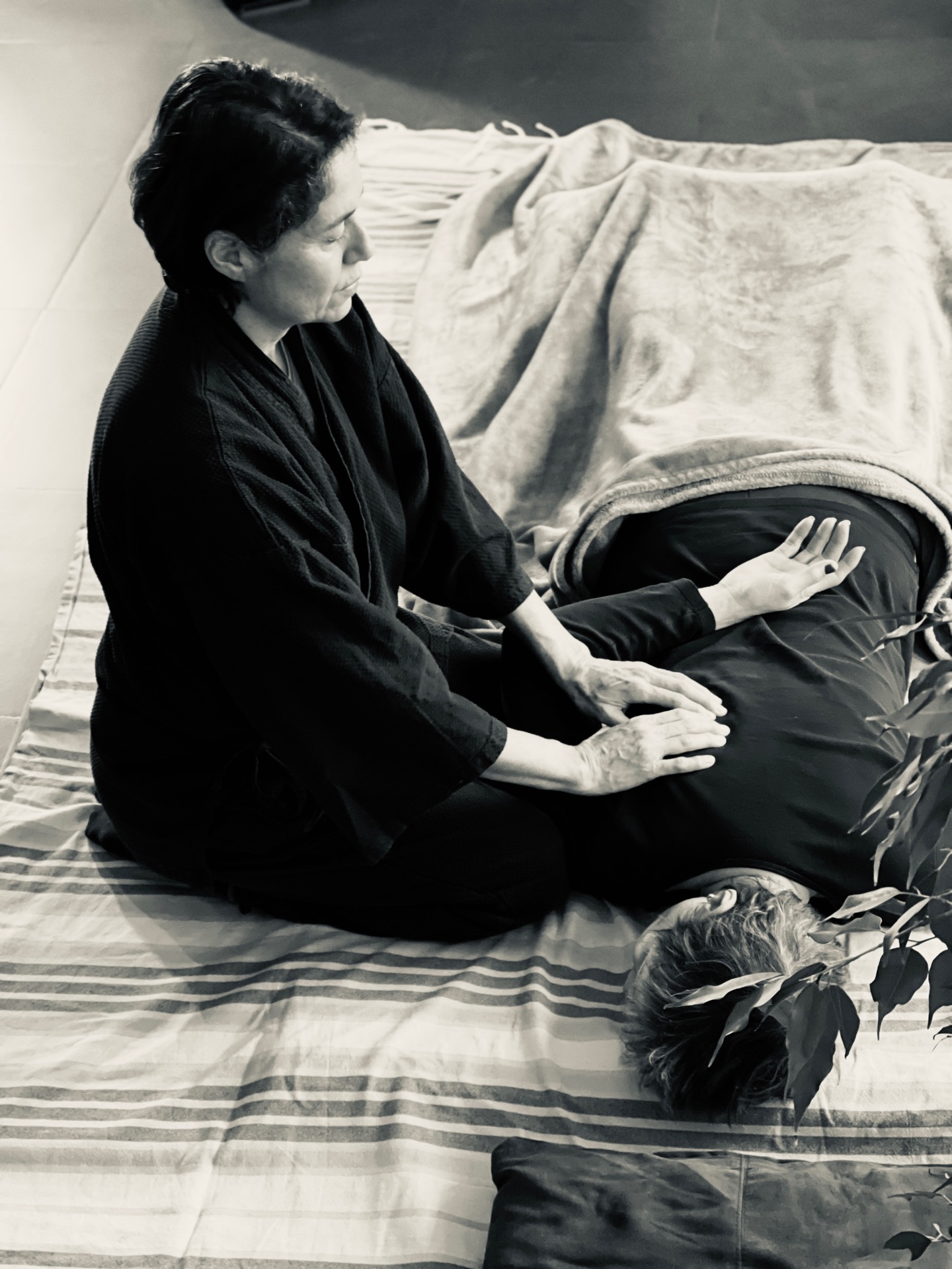 Shiatsu individuel à domicile